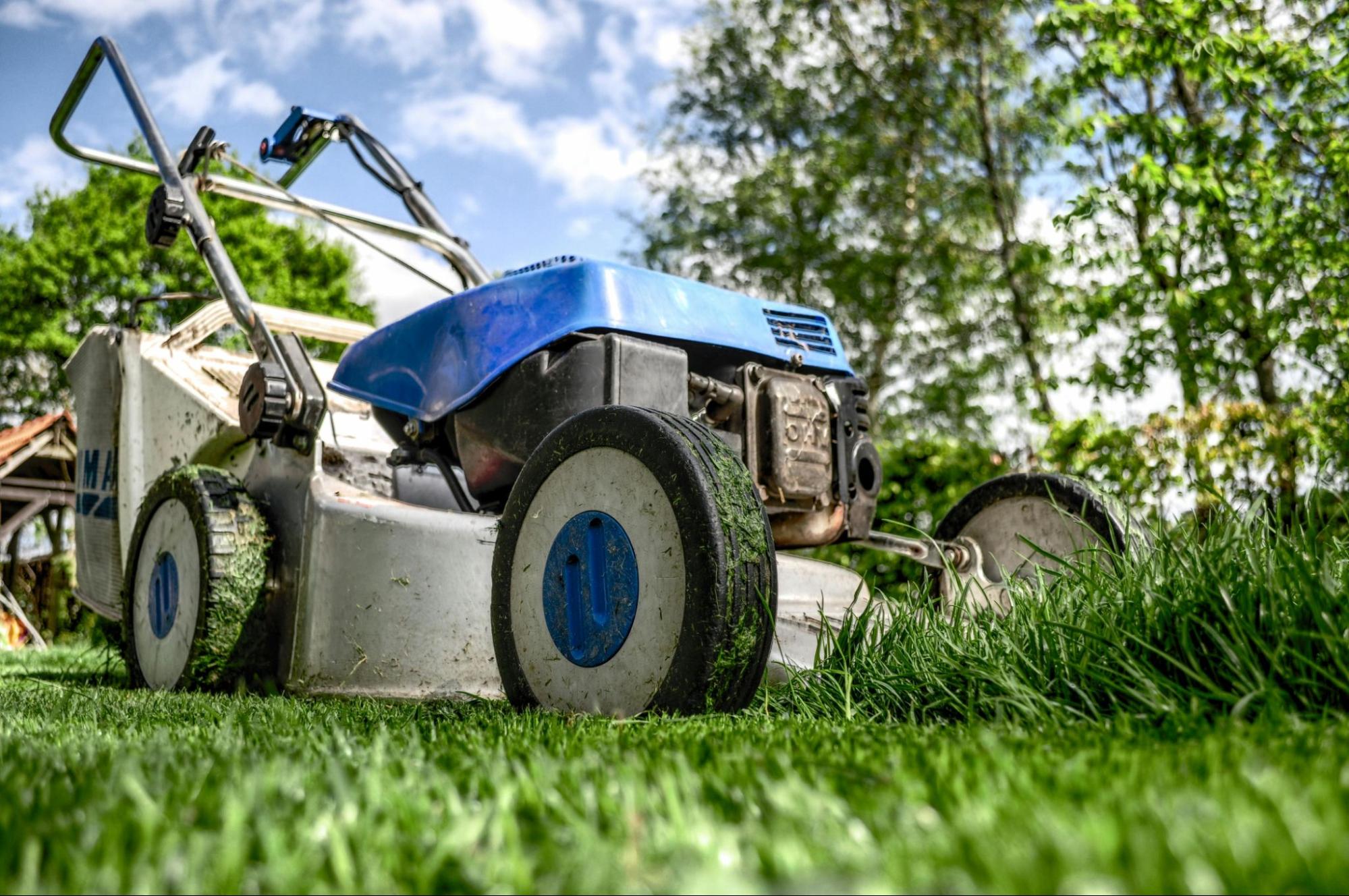 The 7 Best Email Marketing Tips for Landscaping Companies